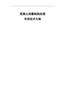 混凝土质量缺陷处理专项技术方案
