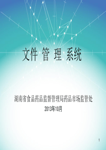 XXXX版HB---GSP-质量体系管理文件系统编制培训