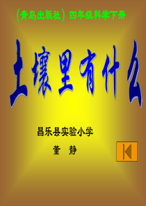 课件 土壤里有什么