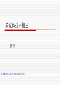 【信息技术--多媒体技术概述】（ppt29页）