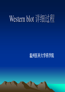 Western-blot-详细过程解析