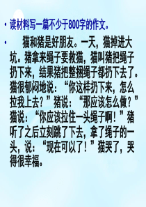 作文猫和猪是好朋友(精)