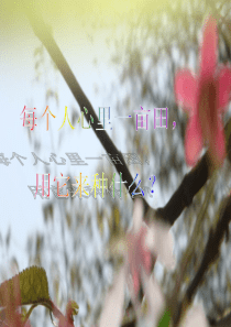 八十多种春天开花的花卉种类
