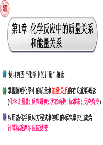 第1章化学反应中的质量关系和能量关系