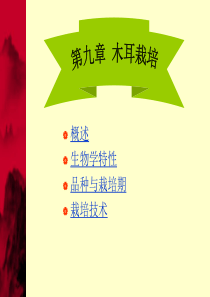 第九章黑木耳栽培