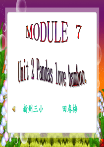 Pandas love bamboo课件
