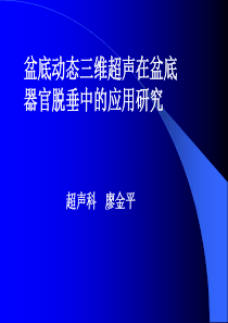 盆底PPT终稿