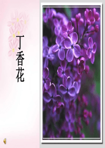 雨巷定稿