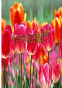 初三化学上学期化学方程式的配平