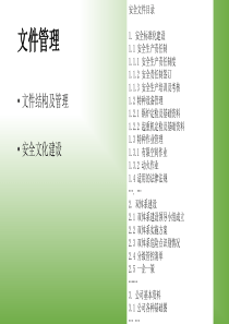 安全生产管理-个人总结