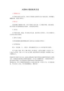 大鼠和小鼠的处死方法