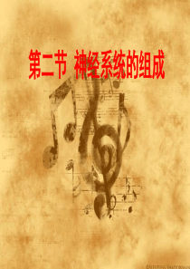 第二节 神经系统的组成1