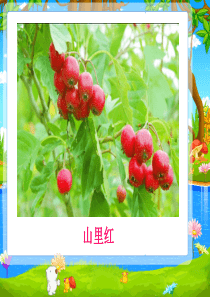 24说话算数 2