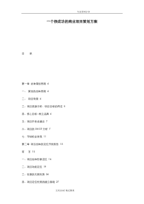 一个很成功的商业项目策划实施方案