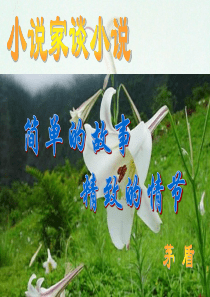 小说家谈小说PPT