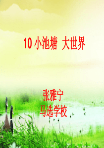 冀教版小学科学六年级下册《小池塘-大世界》课件