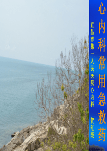 心内科常用急救药