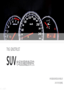 中国SUV市场新华信