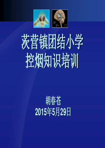 控烟培训课件.ppt0