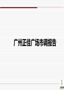 广州正佳广场市场调研分析报告(31页)