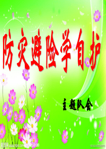 争做校园文明小主人
