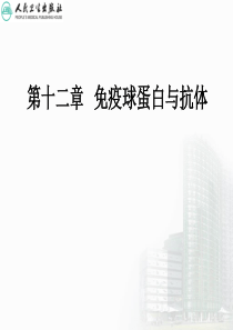 免疫球蛋白与抗体