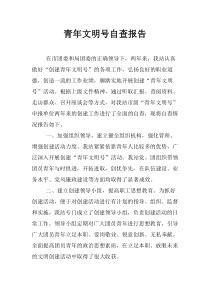 青年文明号自查报告