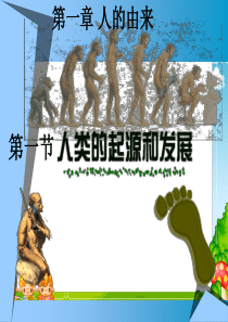 人教版七年级生物下册第四单元第一章-人的由来-复习课件(35张PPT)