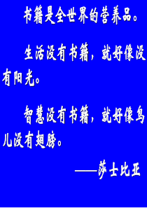 钢铁是怎样炼成的.ppt