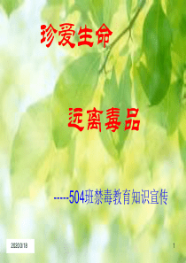 6禁毒教育PPT