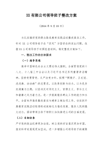 XX有限公司领导班子整改方案