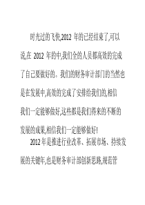 公司财务审计2013年工作总结范文
