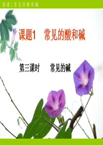 第10单元课题1常见的酸和碱第3课时修改后