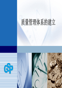 新版GSP质量管理体系建立