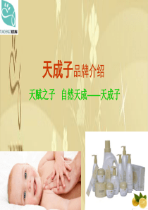 天成子品牌手册