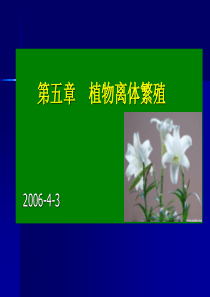 植物离体繁殖