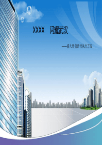2017房地产开盘策划方案