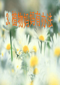 人教版小学语文二年级上册《植物妈妈有办法》PPT课件1