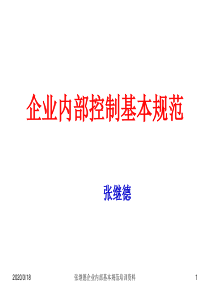 山东2011会计继续教育-企业内部控制基本规范讲解01