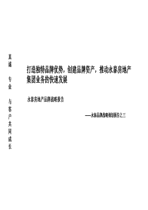 永泰房地产品牌战略报告