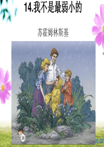 14我不是最弱小的第二课时