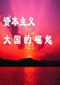 资本主义大国的崛起复习