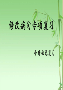 小升初修改病句专题复习