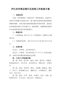 反洗钱工作检查方案