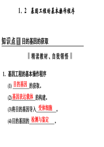 基因工程的基本操作程序导学案答案