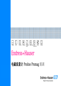 E+H电磁流量计培训资料