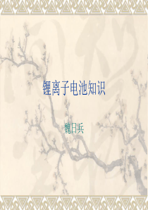 锂离子电池介绍