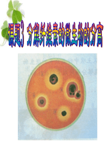 课题3-分解纤维素的微生物的分离