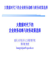 大数据时代企业财务战略与财务政策选择(财政局)