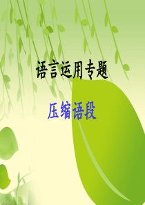 2020年高考模拟卷压缩文字及提取关键词专题训练(最新高三专用).ppt